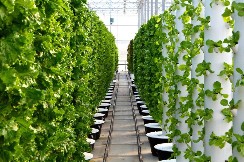 AirStar Keeps Scissortail Farms in the Green AirStar LLC