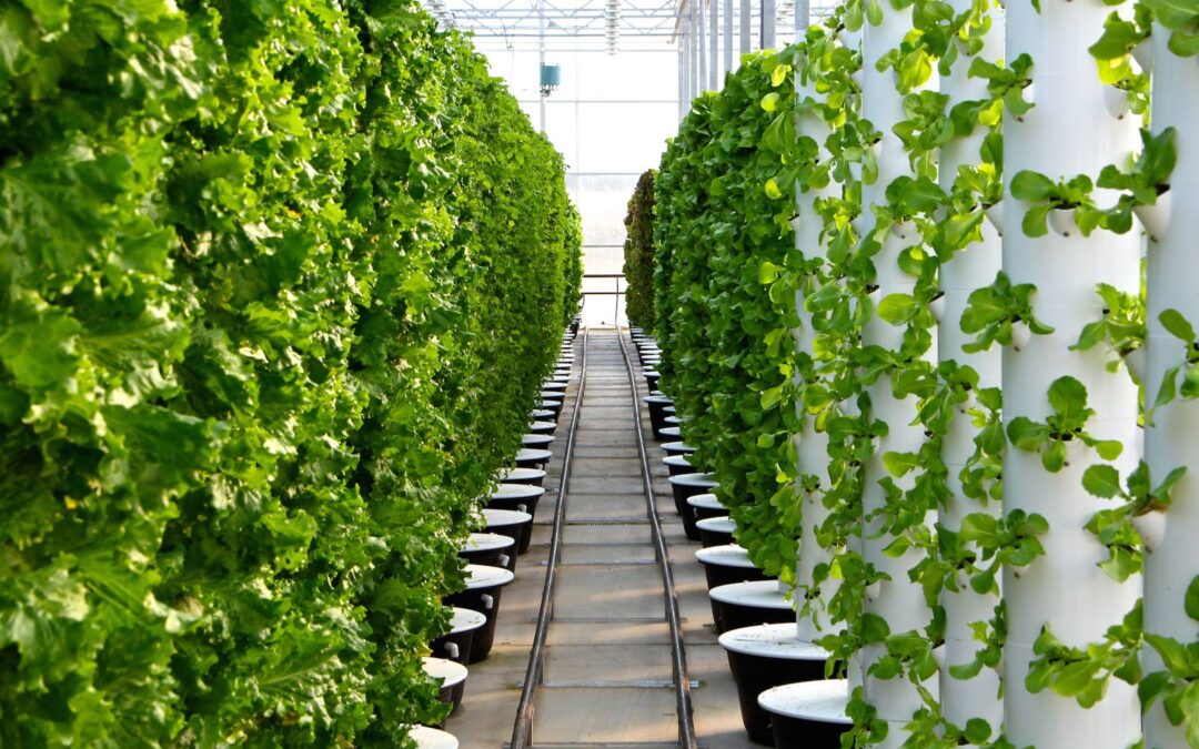 AirStar Keeps Scissortail Farms in the Green