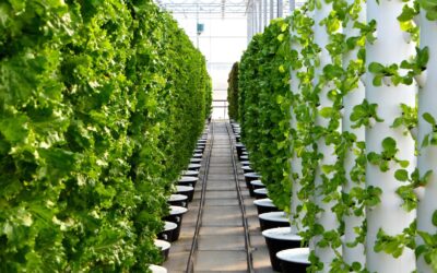 AirStar Keeps Scissortail Farms in the Green